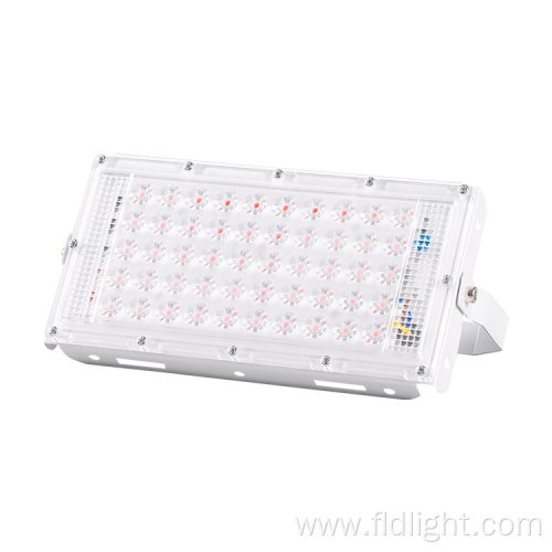 control linear floodlight with wintersweet lens